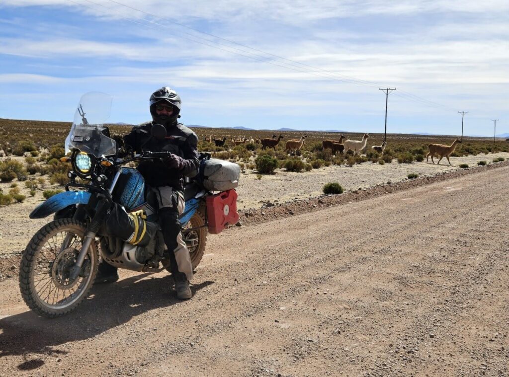 solo-rider-in-the-andes-chasing-horizons-among-llamas